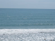 Sparkling Ocean